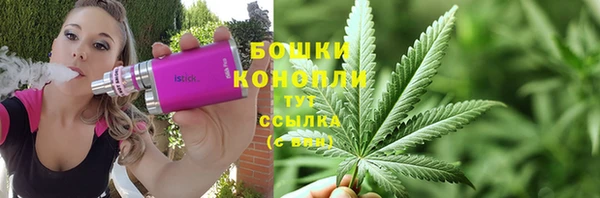 индика Богородицк